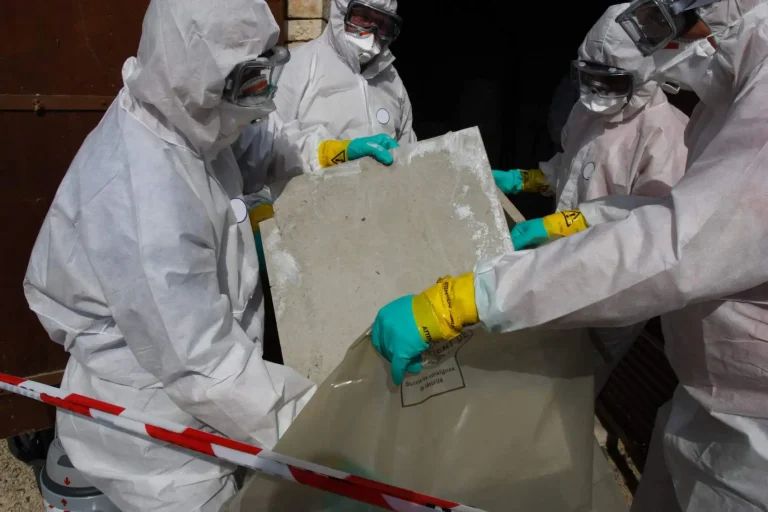 asbestos abatement services