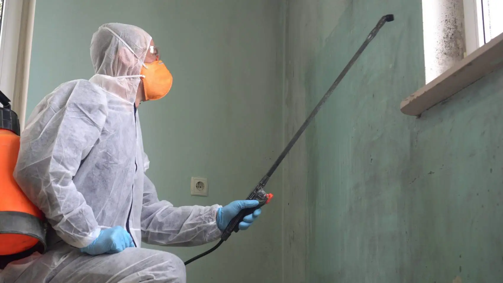 emergency mold removal