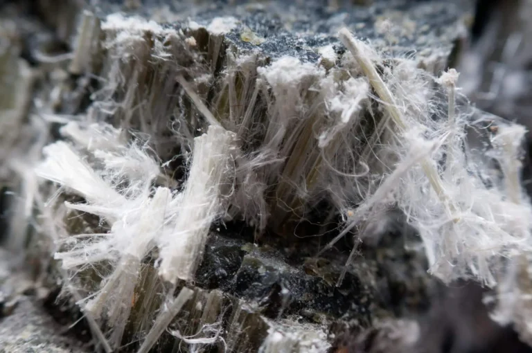 asbestos cleanup grand junction