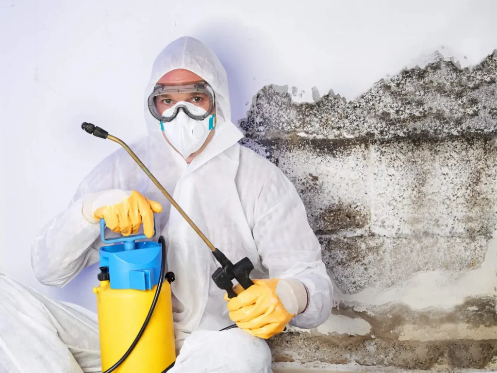 mold removal in grand junction